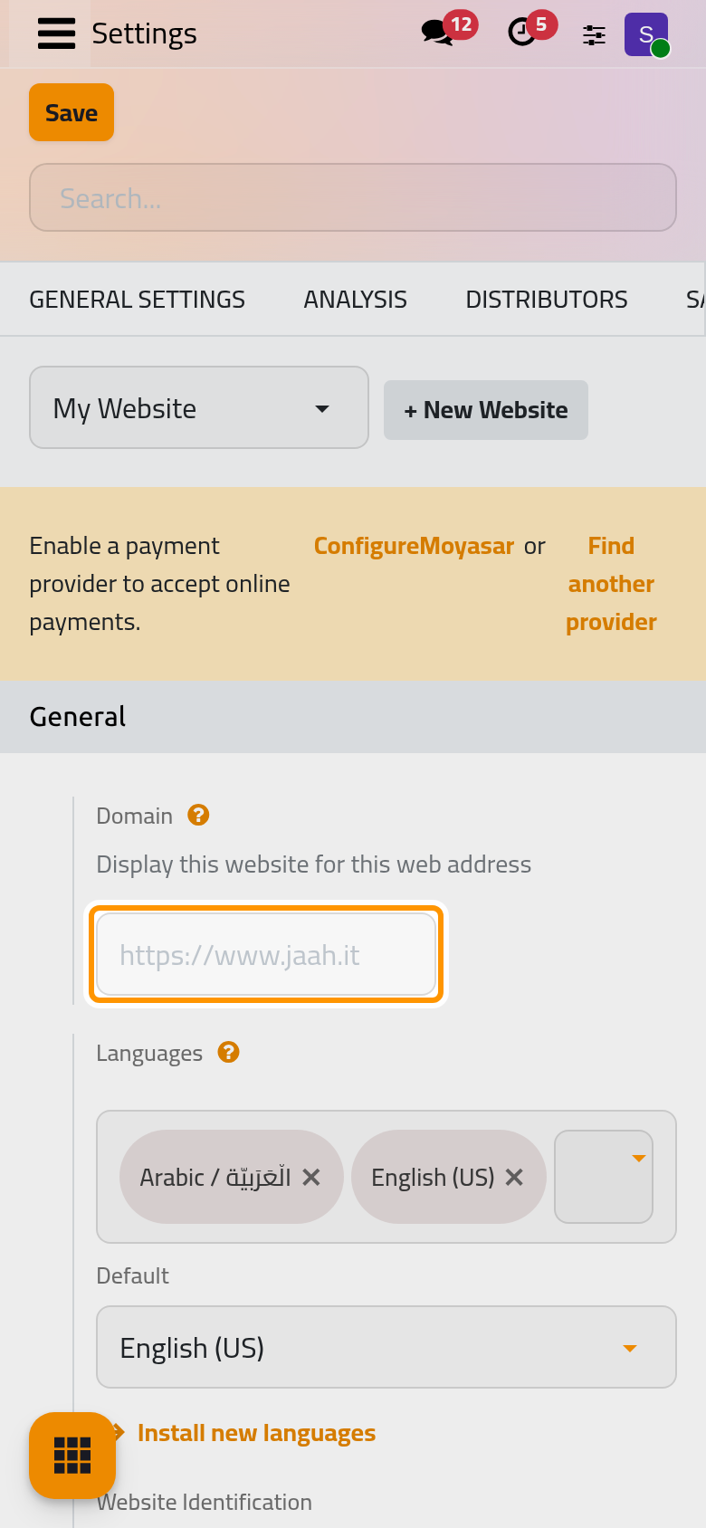 The General group of the Website settings, starting with the domain of the website chosen at the top.
