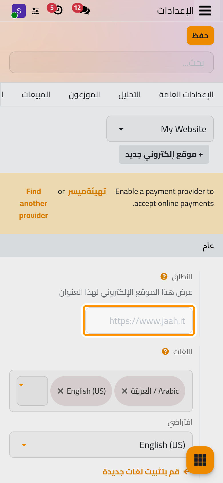 مجموعة عام في إعدادات الموقع الإلكتروني، وأولها نطاق الموقع المختار في الأعلى.