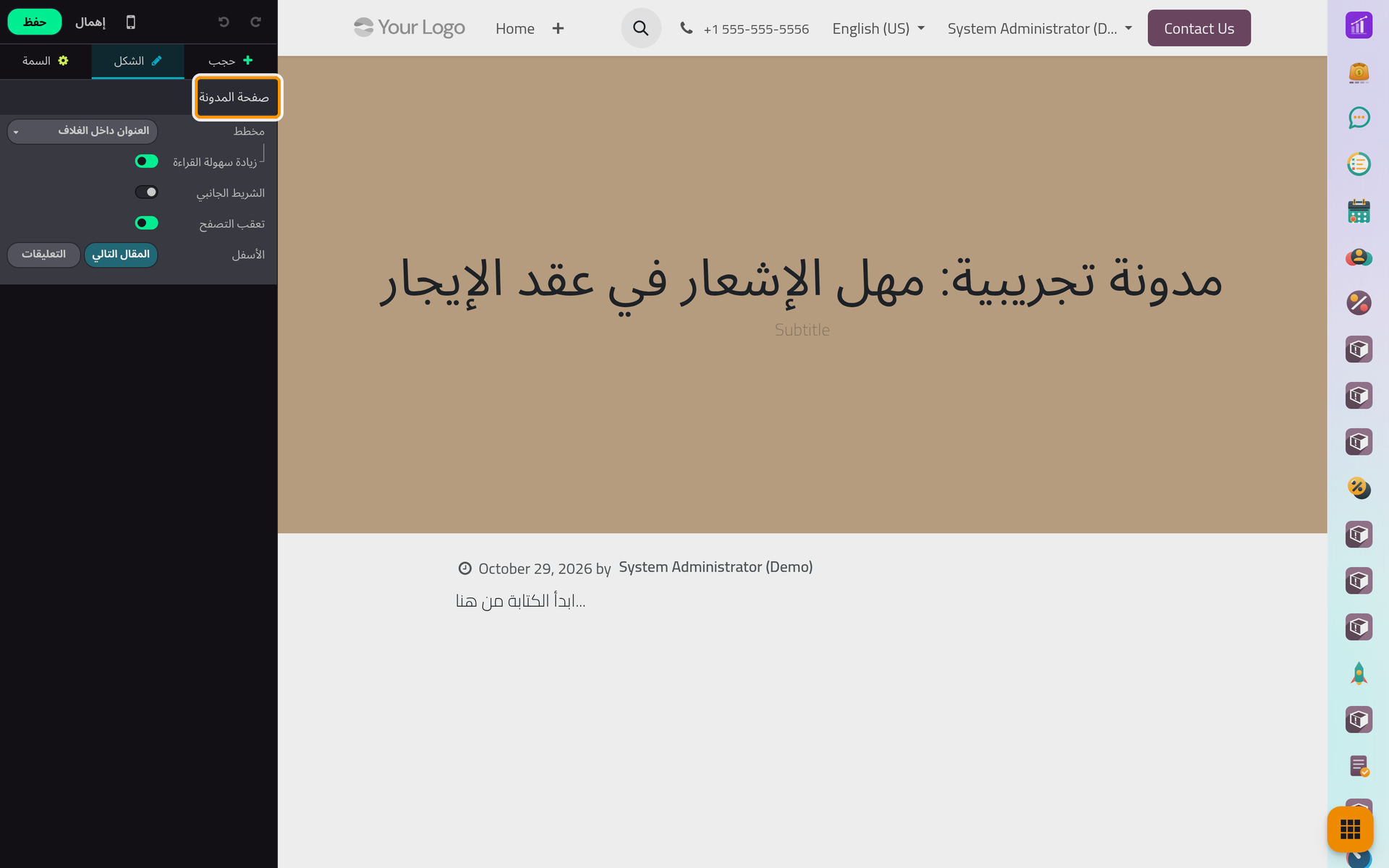 خيارات صفحات المقالات، في تبويب الشكل حين لا يكون شيء محددا في الصفحة.